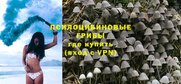 МДПВ Мегион