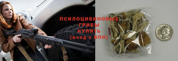 МДПВ Мегион