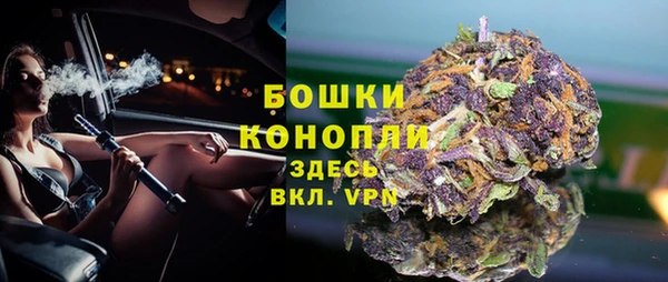 МДПВ Мегион