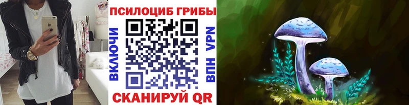 Купить где  Сим  Псилоцибиновые грибы MAGIC MUSHROOMS 